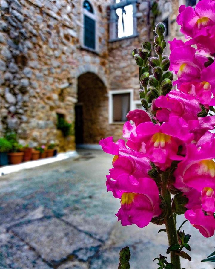 Chios Mantalenas Apartments Véssa Extérieur photo